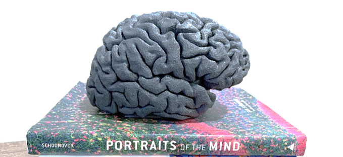 Brain Model