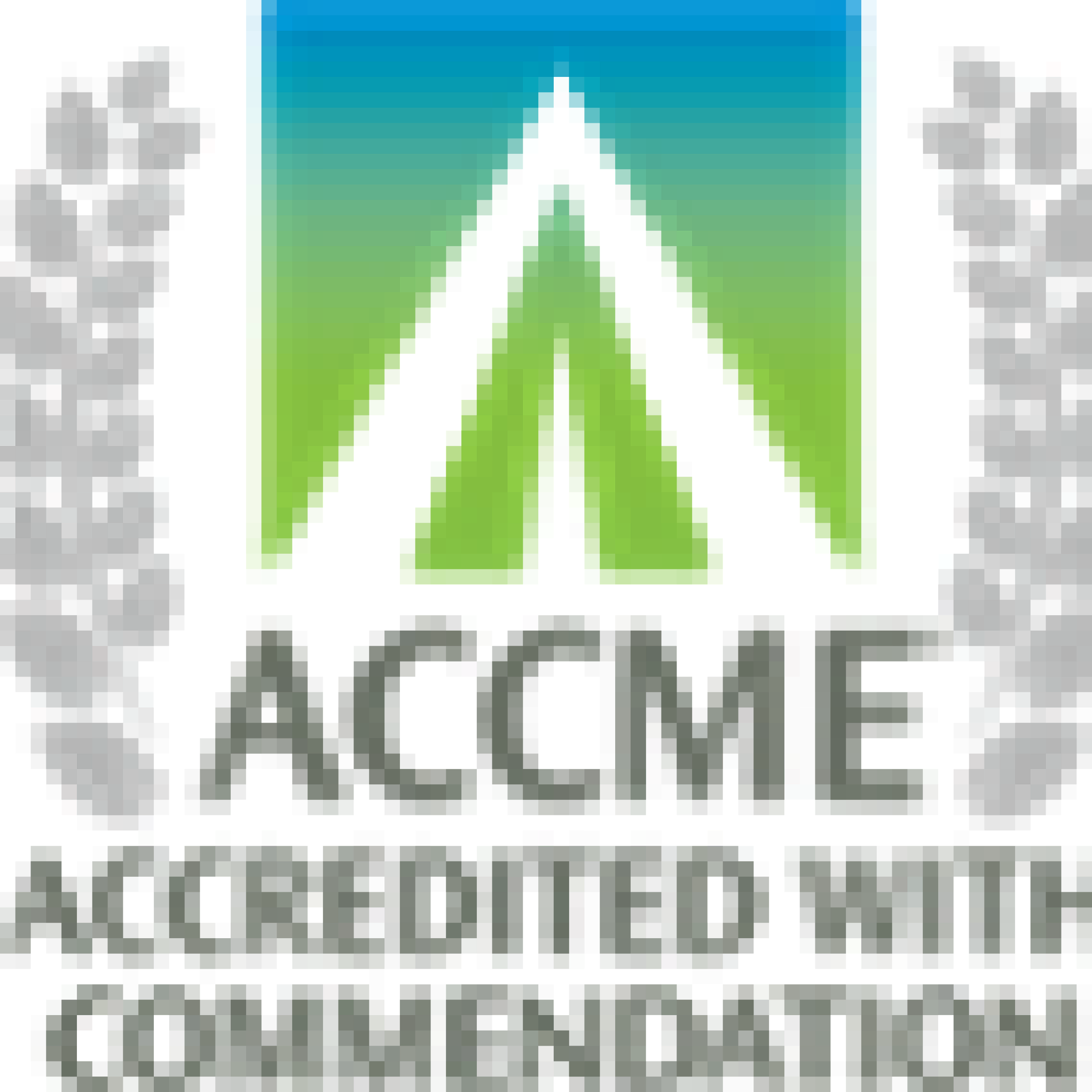 ACME logo